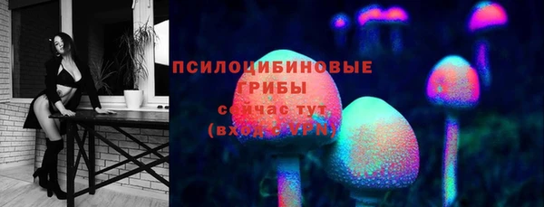 MDMA Premium VHQ Козловка