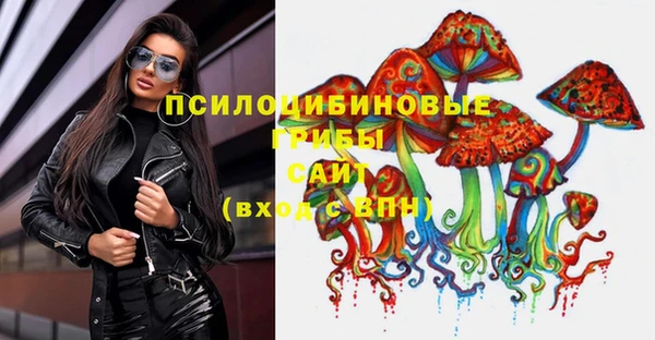 стафф Арсеньев