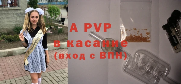 индика Кодинск
